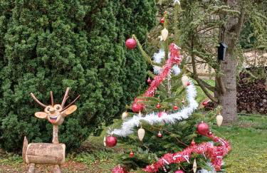 La maison des doux souvenirs - Foto 39