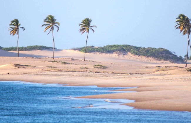 Excursión a la desembocadura del río San Francisco - Foto 1
