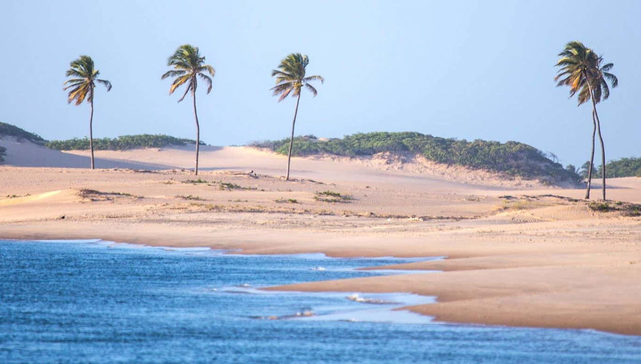 Excursión a la desembocadura del río San Francisco