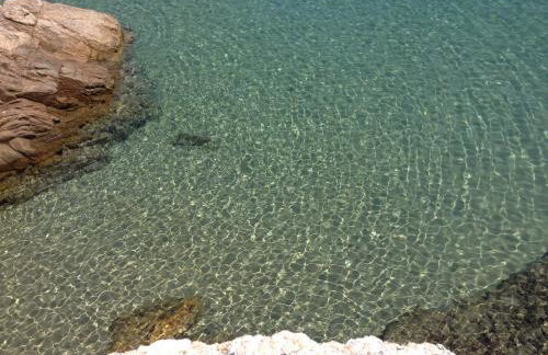 Garden Residence - Foto 35