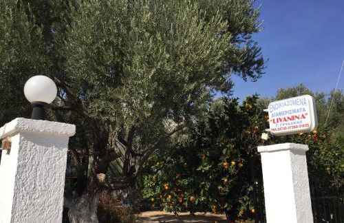 Livanina apartments - Foto 43