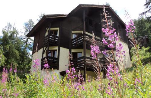 Chalet les arolles - Foto 47