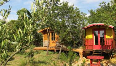 Le Mas du Fort - Foto 5, Garden