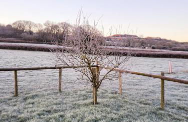 Sunrise Shepherd's Hut - Photo 16