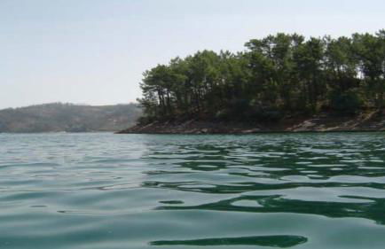 Visitar Bioucas II - Casa Tradicional Familiar - Foto 48