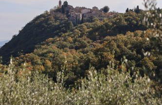 Agriturismo Belagaggio - Foto 67