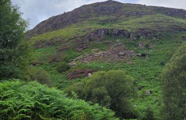 The Sunny Bunny Holiday Home - Foto 25