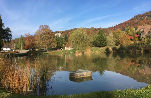 La Maison des Fontaines D'alsace - Foto 31