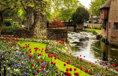 City Centre Luxury House - Garden Oasis, Kingsize beds - Foto 21