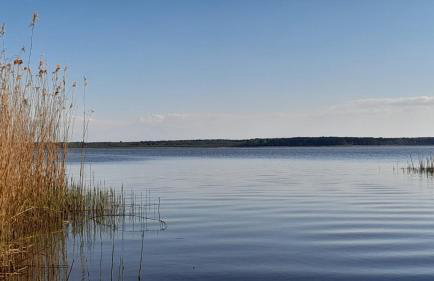 Villa Aurea - Foto 70