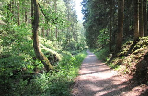 Ferienwohnung Schuhmacherwerkstatt Wilhelm Wendel - Photo 25
