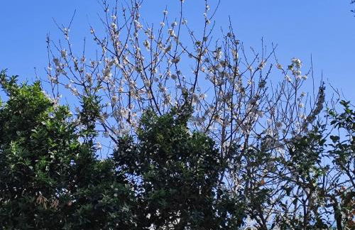 J'Adore Sorrento - Photo 32