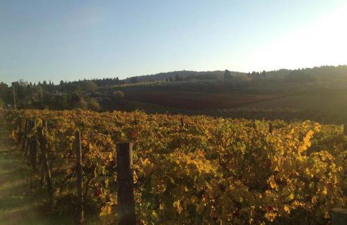 Podere La Casetta - Casa di Campagna - Foto 40