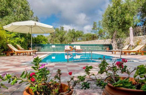 Olive Tree Villa - Photo 13