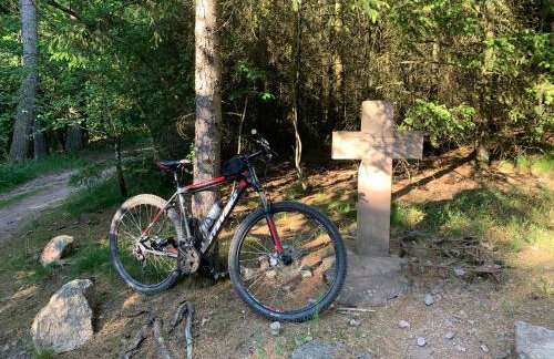 Ferienwohnung Zum Bienenstock - Photo 14