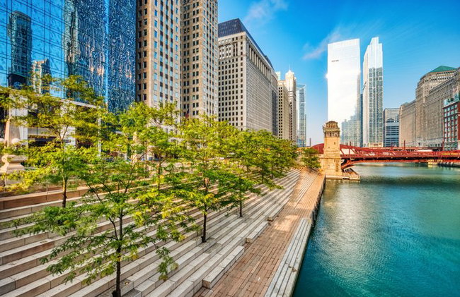 Excursion privée d'une journée à Chicago, au bord du lac et au Millennium Park - Photo 6