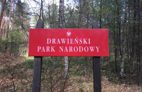 Agroturystyka Gęsiniec Stare Osieczno - Foto 47