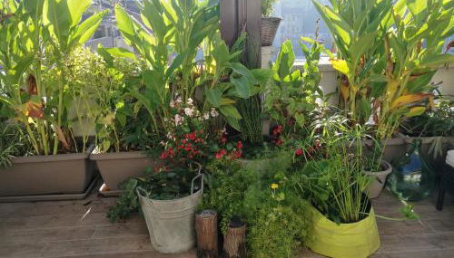 Floorplan B - 208 - Photo 2