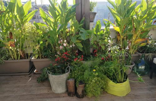 Floorplan B - 208 - Foto 2