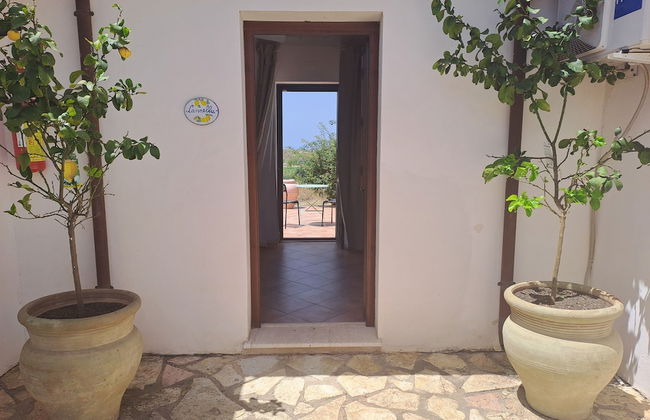 Fattoria Manostalla - Foto 7