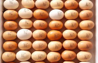 Agriresort Terradome - Foto 21