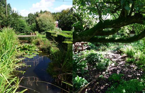 Kenilworth Garden Accomodation - Foto 1