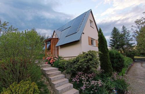 Skała i Las - Foto 1