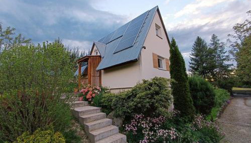 Skała i Las - Foto 1