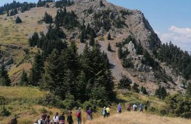 Tsigaridas Mountain Home - Foto 56