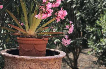 Lovely Villa Nico Playa Blanca, hot tub, communal pool - Foto 43