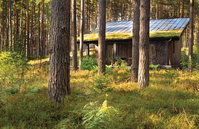 Rabarberi LV - SeaSide Village - Foto 41