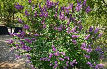 Gîte Sous les Chênes - Foto 15