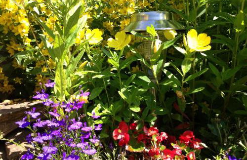 Ferienhaus in Cattenstedt Harz mit Garten - Foto 30