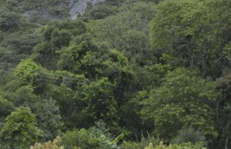 A Casinha Lumiar - Foto 57