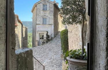 Villa 7 pers - Grande Piscine Privée - Luberon - Foto 60