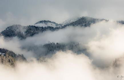 Chez Francine - Photo 55