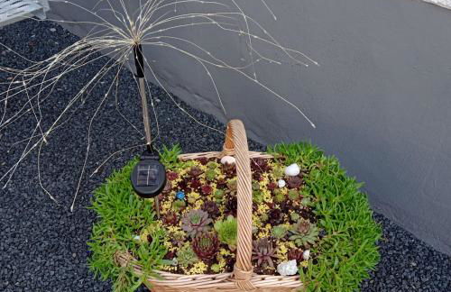 Ferienwohnung am Weserbergland Sandsteinweg - Foto 26