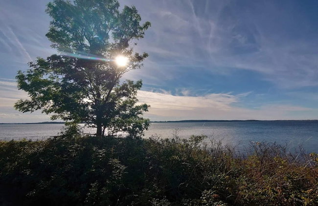 4 Star Holiday Home in Kirke Hyllinge - Foto 33