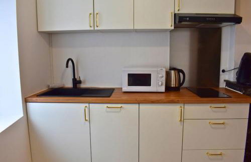 Le Camélinat T2 centre ville Proche stade et parc expo - Foto 21