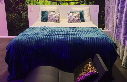 Loveroom & Jacuzzi TIJUGO - Clermont Ferrand - Foto 11