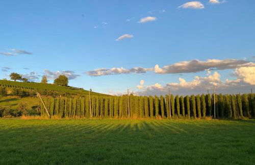 Beim Dorfbach - Die Hofchalets - Foto 3