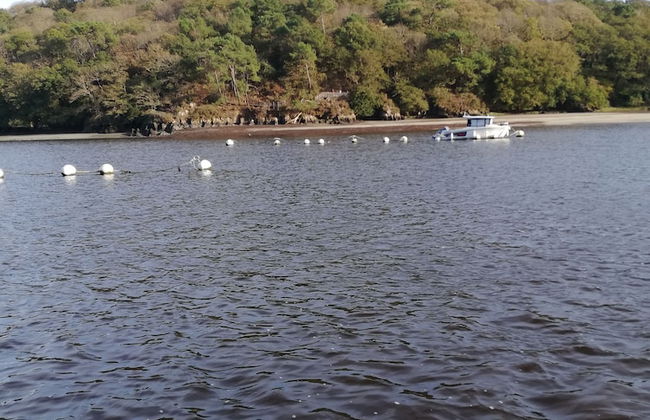 Agréable maison neuve 2 chambres pour 4 - Foto 20