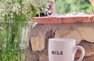 Agriturismo Podere Le Palaie - Foto 20