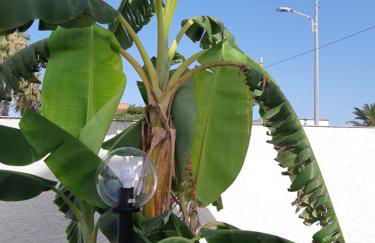 Fronte Mare - Foto 31