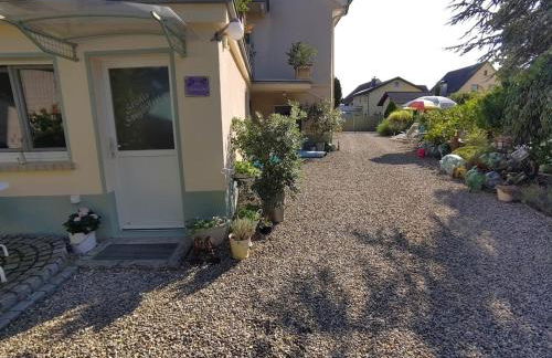 Studio Sorgenfrei - Foto 15