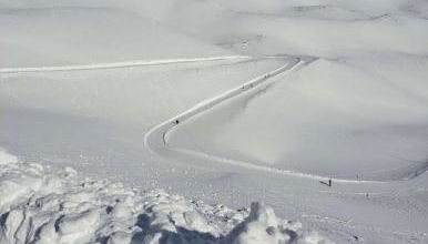 Large family - Foto 2