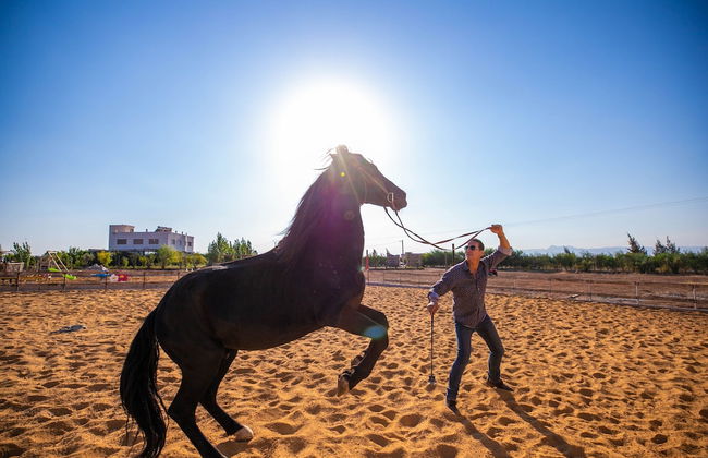 Bio et Bois - Foto 63