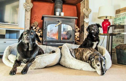 The Orchards - Foto 18