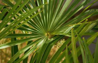 Suite atypique - Jacuzzi spa privé, en centre ville de Cognac - Foto 32