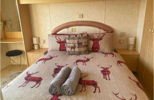 The Wee Sprout - Foto 23